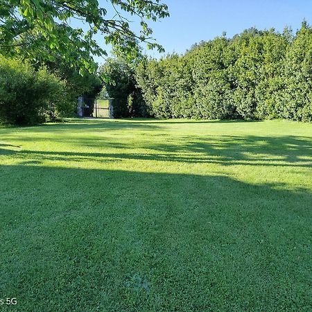 Podere Casone Sant'Adriano Екстер'єр фото